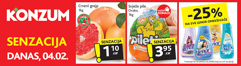 Vinjeta 04.02.2015.